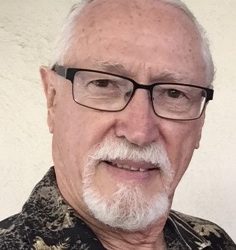 What is the purpose of NDES, and the future for humanity in this time of chaos?