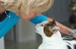 AEGklJ6miEc6-Diane-Jackson-looking-at-Bugghananda