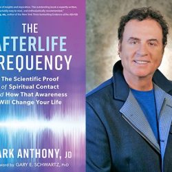 The NDE Zone: Connected by the Light from the Cosmic to the Subatomic